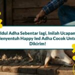 Happy Ied Adha Artinya