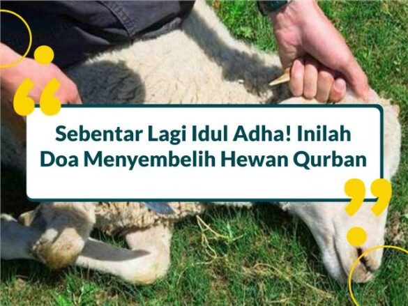 Doa Menyembelih Hewan Qurban Agar Amalan Diterima