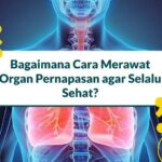 Bagaimana Cara Merawat Organ Pernapasan