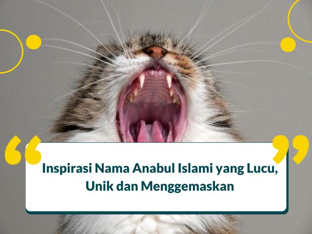 Nama Nama Kucing Islami
