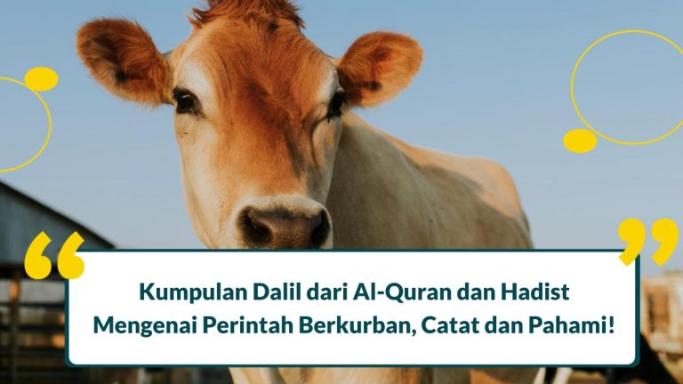 Dalil Perintah Berkurban Adalah Dalam Al Quran Dan Hadits Simak Di Sini